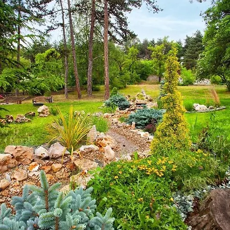 Midas - Borov Park *