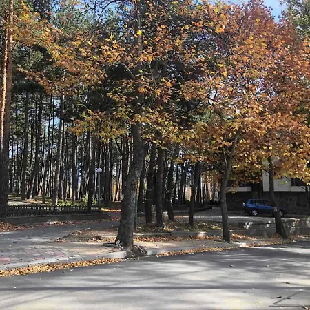 Midas - Borov Park Daire *