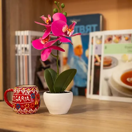 Midas - Borov Park Appartement *