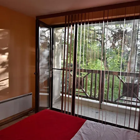 Appartement Midas - Borov Park Velingrad