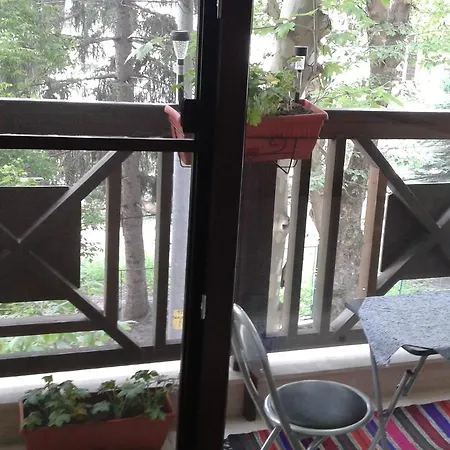 Appartement Midas - Borov Park