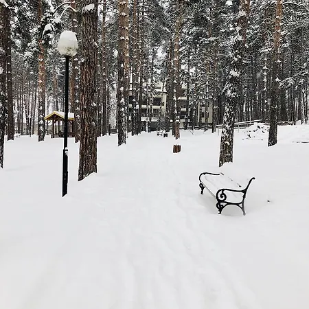 Apartamento Midas - Borov Park *