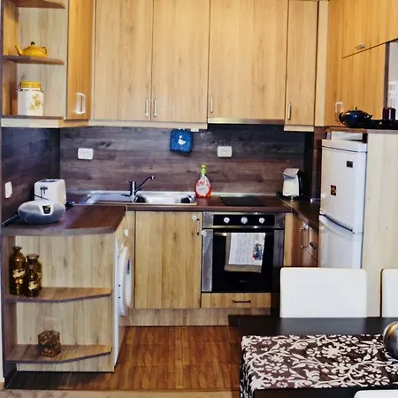 Midas - Borov Park Apartment