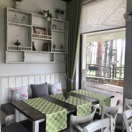 Appartement Midas - Borov Park *