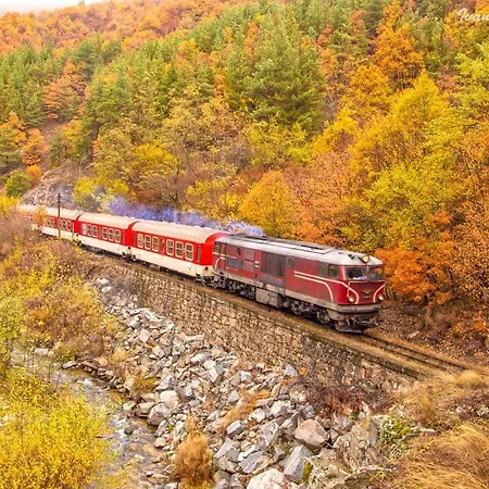 Midas - Borov Park *