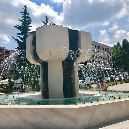 Midas - Borov Park Velingrad