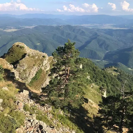 Midas - Borov Park Appartement