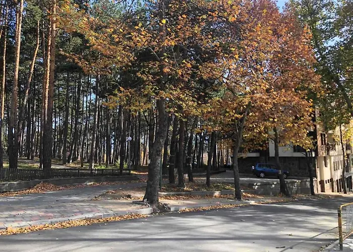 Midas - Borov Park Апартамент *