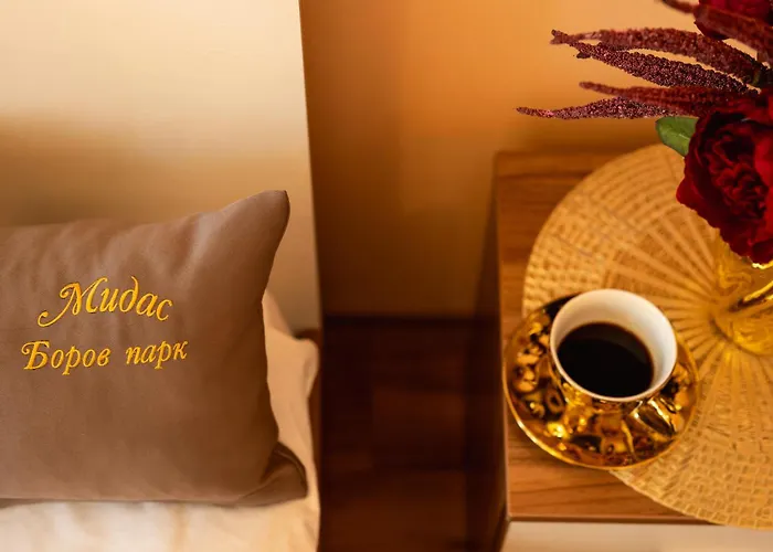 Midas - Borov Park Lejlighed