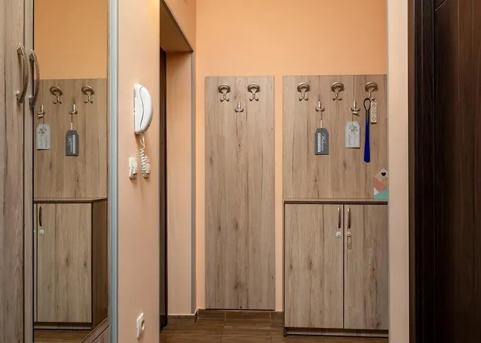 Midas - Borov Park Апартамент *