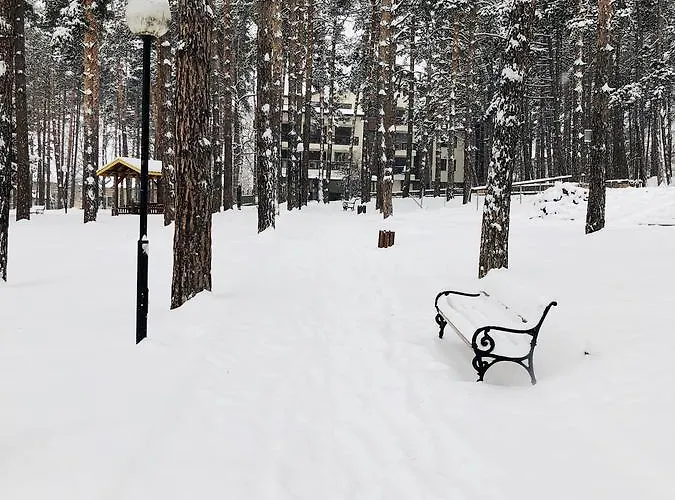 Апартамент Midas - Borov Park *