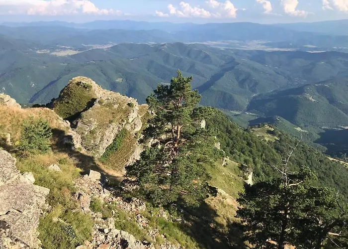 Midas - Borov Park Lejlighed